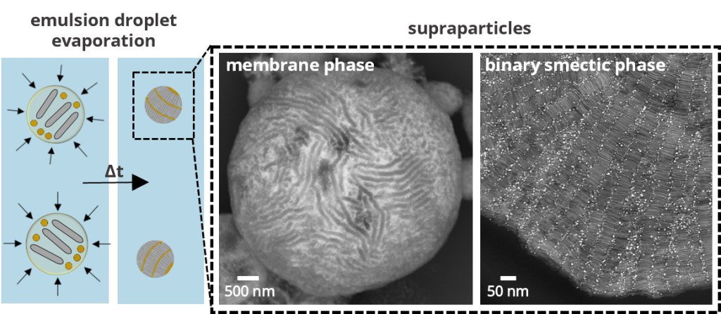 Research paper published on shaping Au/TiO2&nbsp;supraparticles